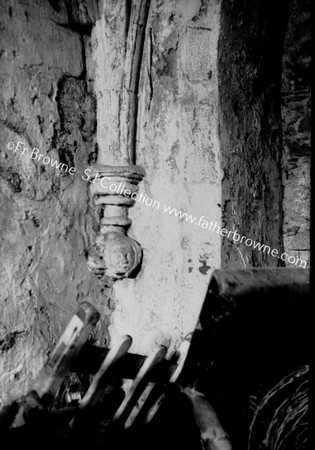 TINTERN ABBEY CARVED CORBEL IN SITU IN S.W. CORNER OF S.CHAPEL